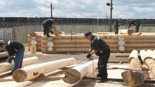 Производство целлюлозы и древесной массы